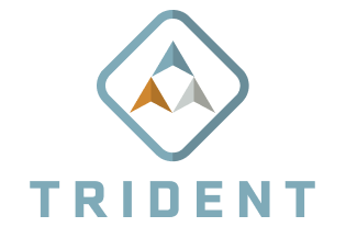Trident Truck System